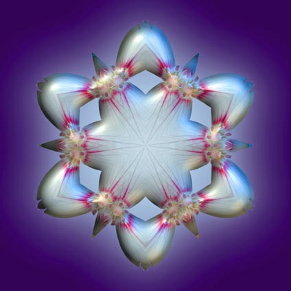 CreationsEarthEcho