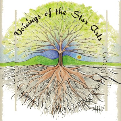 Cover art for the Voicings of the Star Arts of AMERICANS audio