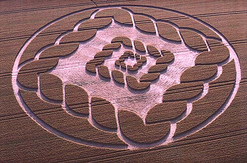 cropcircle