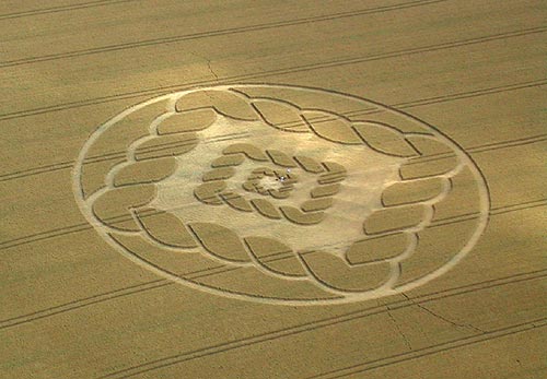CropCircleSouthfield
