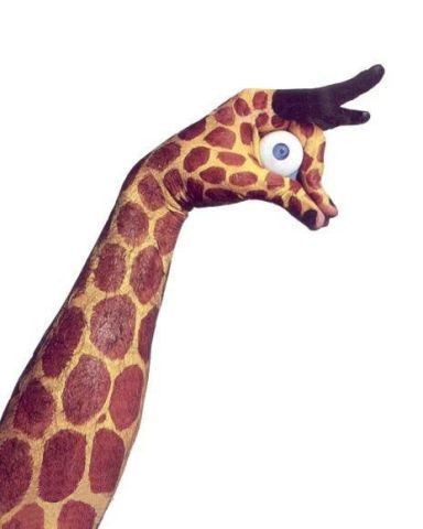 GiraffeHandPainting